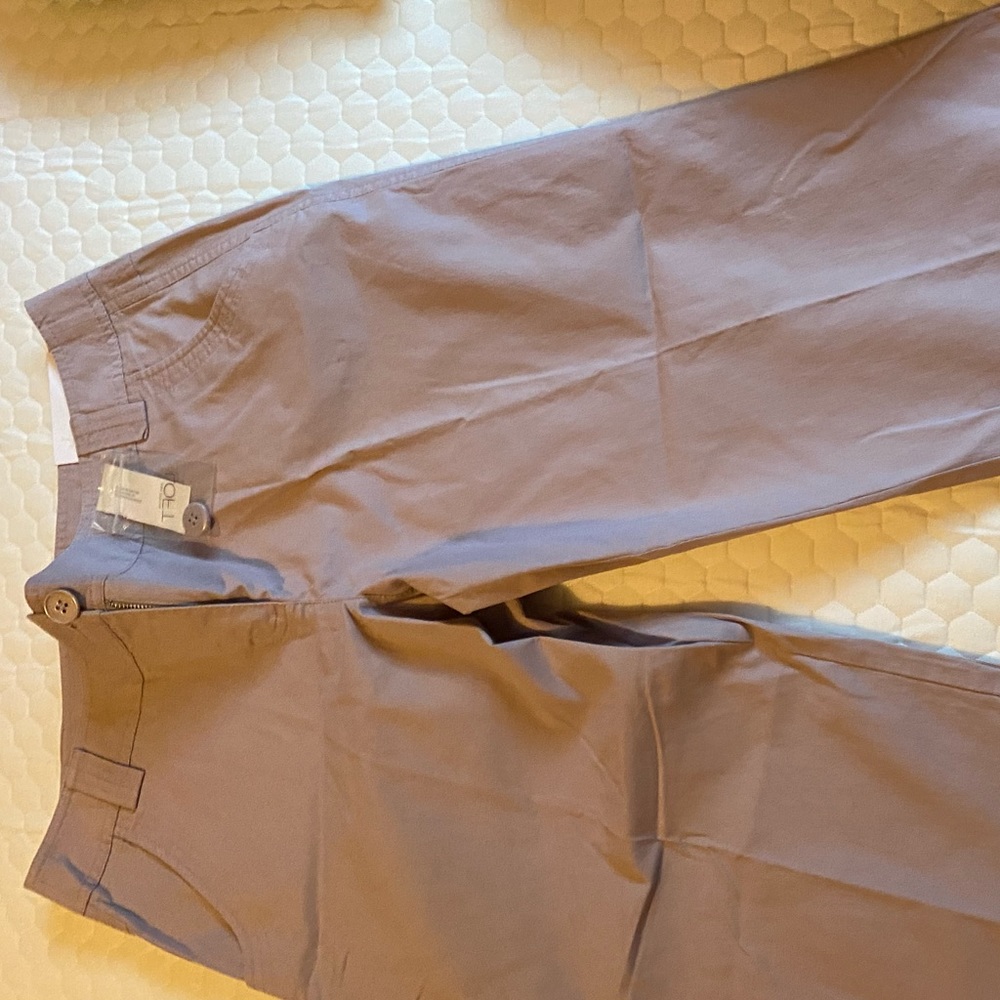 Loft Capri pants size 10 new with tags